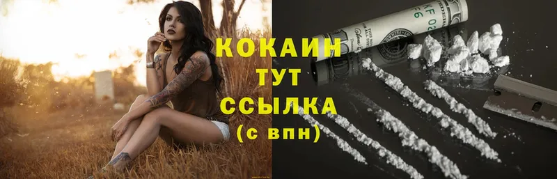 где купить наркотик  OMG ONION  Cocaine Боливия  Вышний Волочёк 